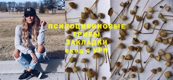мяу мяу мука Белоозёрский