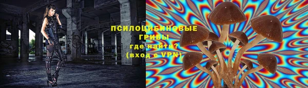 метамфетамин Белокуриха