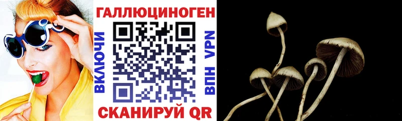 Галлюциногенные грибы Magic Shrooms  Купить закладки  Кяхта 