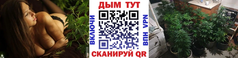 Бошки марихуана гибрид  Купить где  Кяхта 